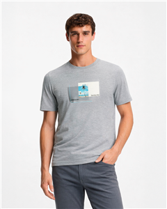 4560 - Remera Aero Estampada